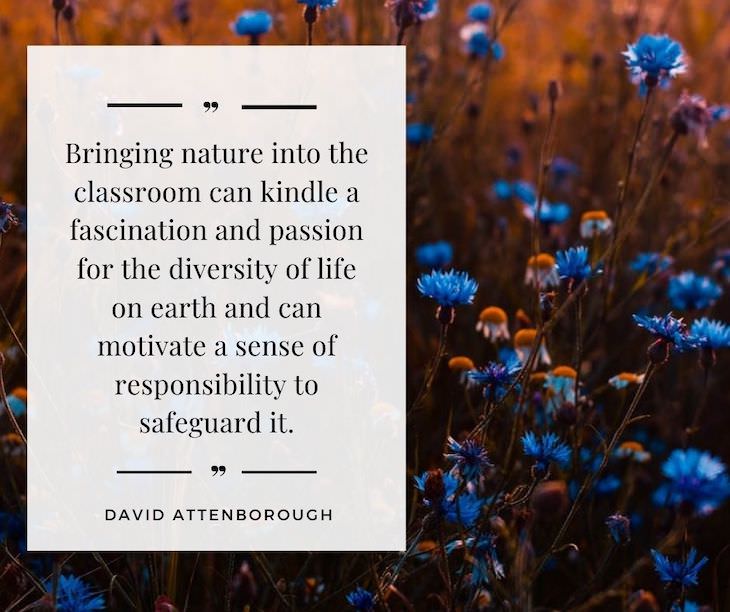 11 Inspiring Quotes On the Love of Nature Bringing nature into the classroom can kindle a fascination and passion for the diversity of life on earth and can motivate a sense of responsibility to safeguard it