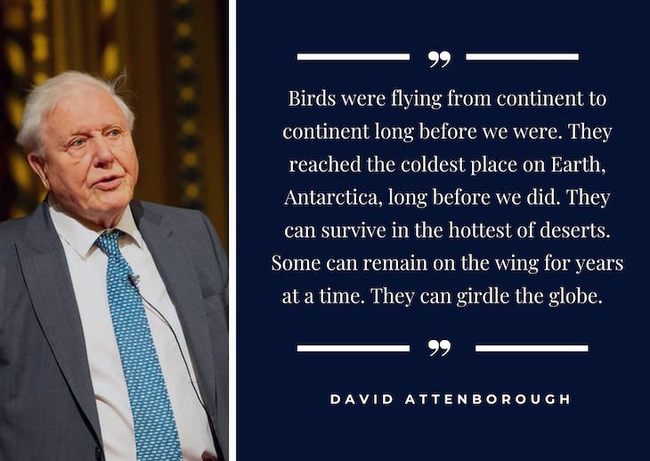 11 Inspiring Quotes On the Love of Nature Birds were flying from continent to continent long before we were