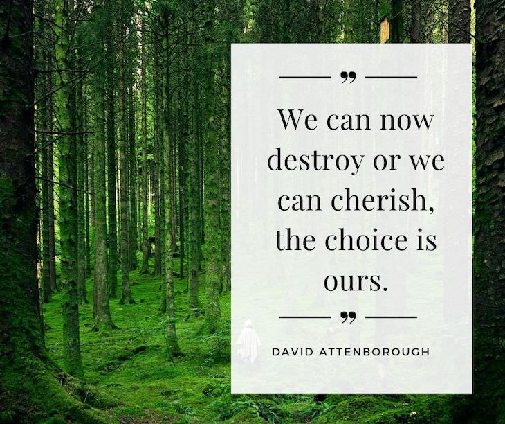 11 Inspiring Quotes On the Love of Nature We can now destroy or we can cherish, the choice is ours