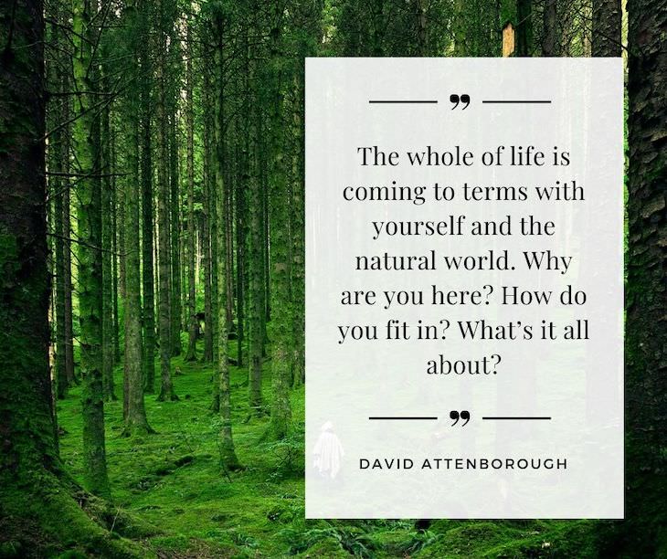 11 Inspiring Quotes On the Love of Nature The whole of life is coming to terms with yourself and the natural world. Why are you here? How do you fit in? What’s it all about?