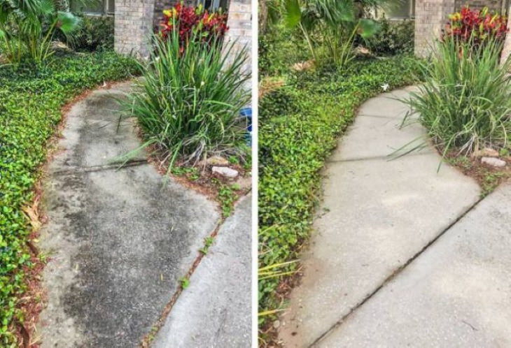 Cleaning Before and After Photos mildew on sidewalk