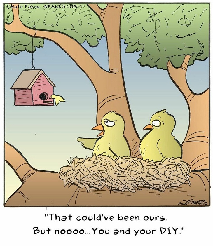 Single-Panel Comics, bird nest