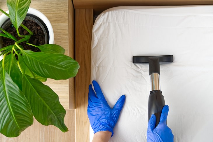 Neglected Places You're Forgetting to Vacuum, Mattresses 