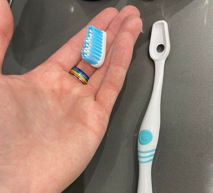 Genius New Inventions, Toothbrush 