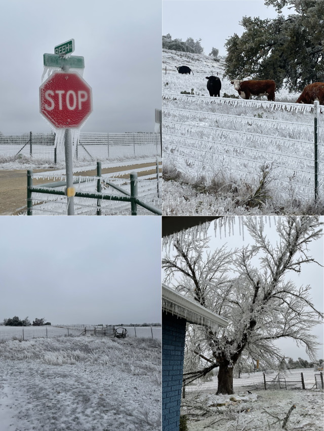 Texas Snow Storms Fredericksburg