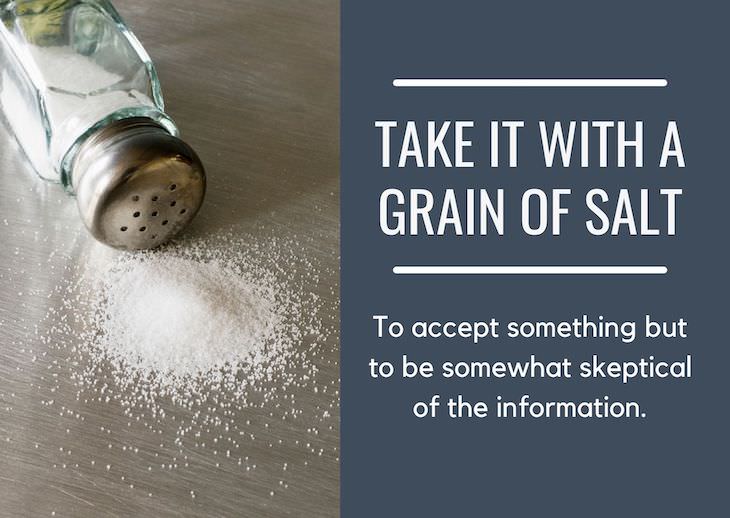 IDIOM: TAKE IT WITH A GRAIN OF SALT 