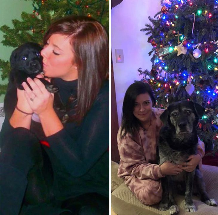  Dogs Before & After They Grew Up, christmas 