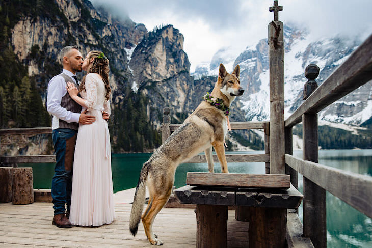Cutest Contest: Best Dog In a Wedding Photo 2021, wedding photos in the mountains