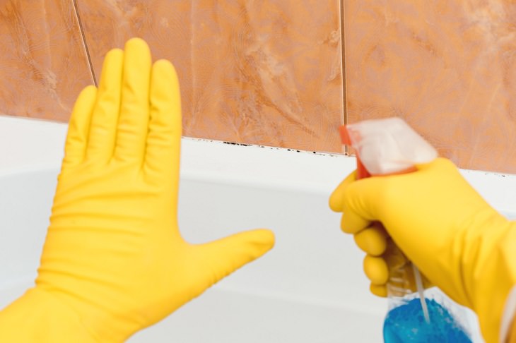Household Cleaning Tips to Ease Allergies, mold and mildew growth from the bathroom