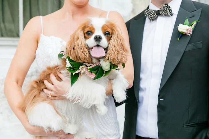 Cutest Contest: Best Dog In a Wedding Photo 2021, bride holding dog