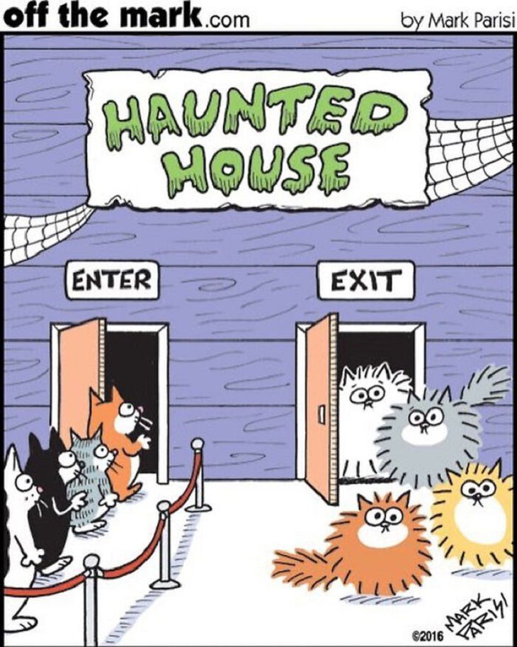 Mark Parisi comic strips, cats