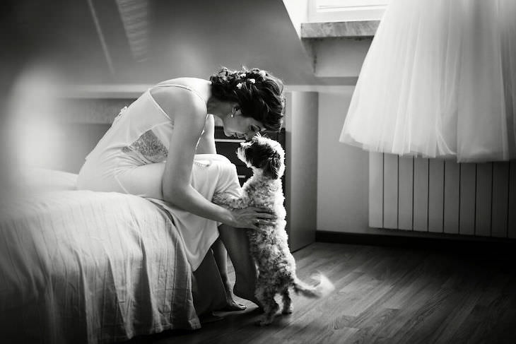 Cutest Contest: Best Dog In a Wedding Photo 2021, One sweet moment of love before this puppy's human becomes a bride