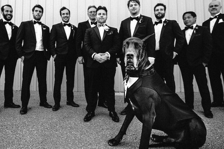 Cutest Contest: Best Dog In a Wedding Photo 2021, dog at the front of the best men photo