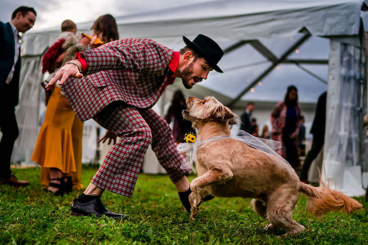 Cutest Contest: Best Dog In a Wedding Photo 2021, dog on the dancefloor
