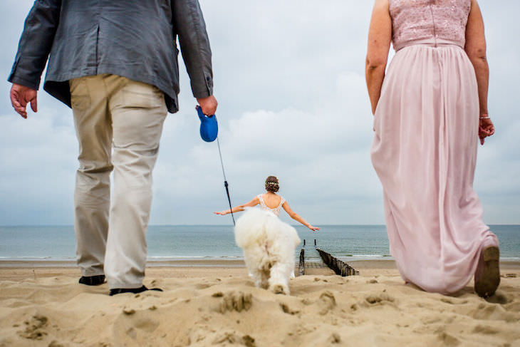 Cutest Contest: Best Dog In a Wedding Photo 2021, optical illuison