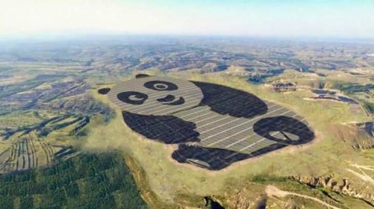 Planet Earth’s Lovely Curiosities Solar Farm shaped like a giant Panda