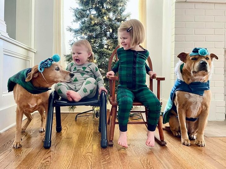 Family Portraits With Dogs, children