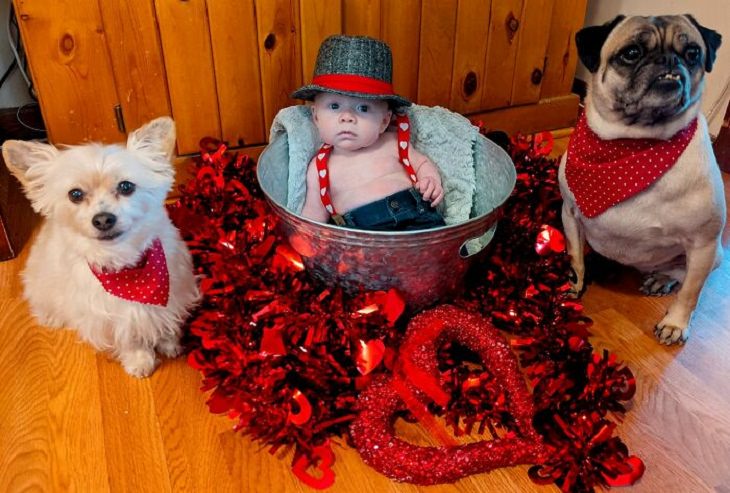 Family Portraits With Dogs, baby