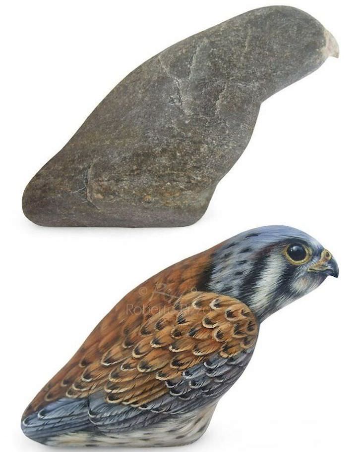 Roberto Rizzo Turns Rocks Into Amazing Animals Art pigeon