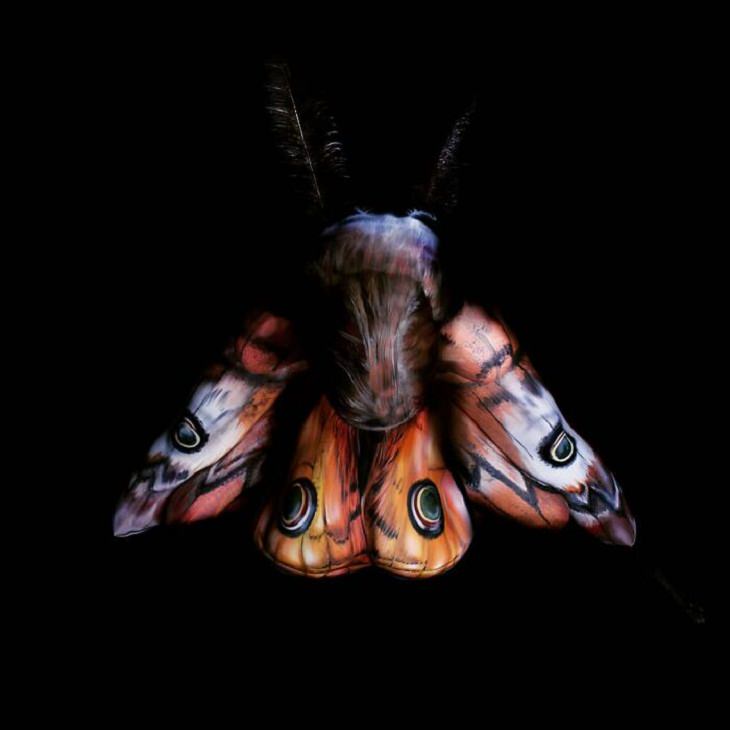 Body Art, butterfly