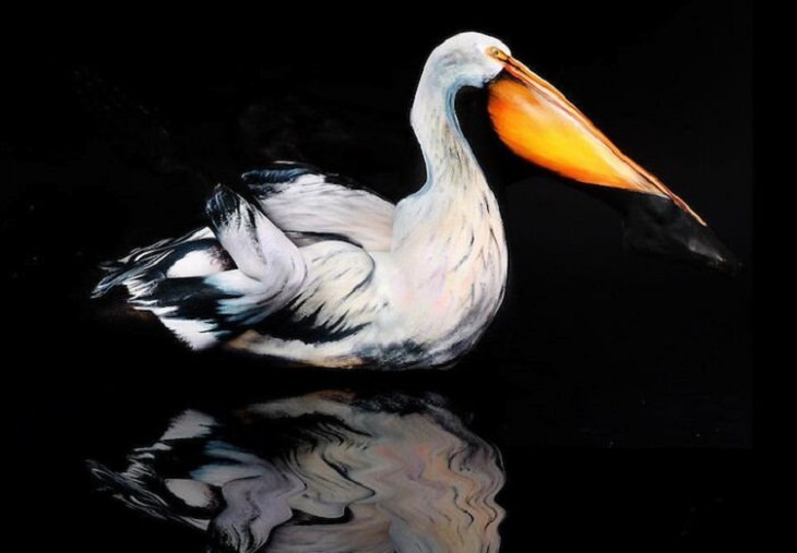 Body Art, pelican 
