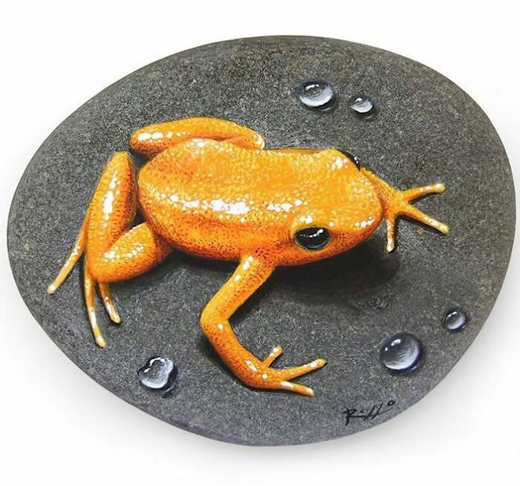 Roberto Rizzo Turns Rocks Into Amazing Animals Art frog