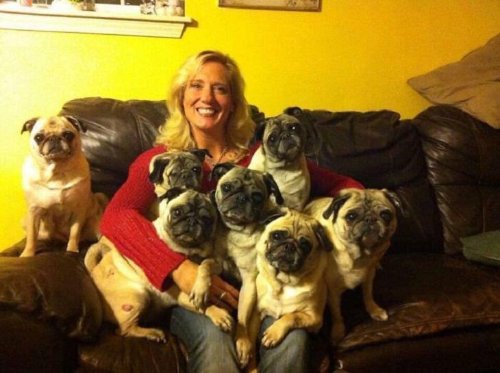 Family Portraits With Dogs, pugs