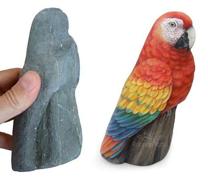 Roberto Rizzo Turns Rocks Into Amazing Animals Art parrot