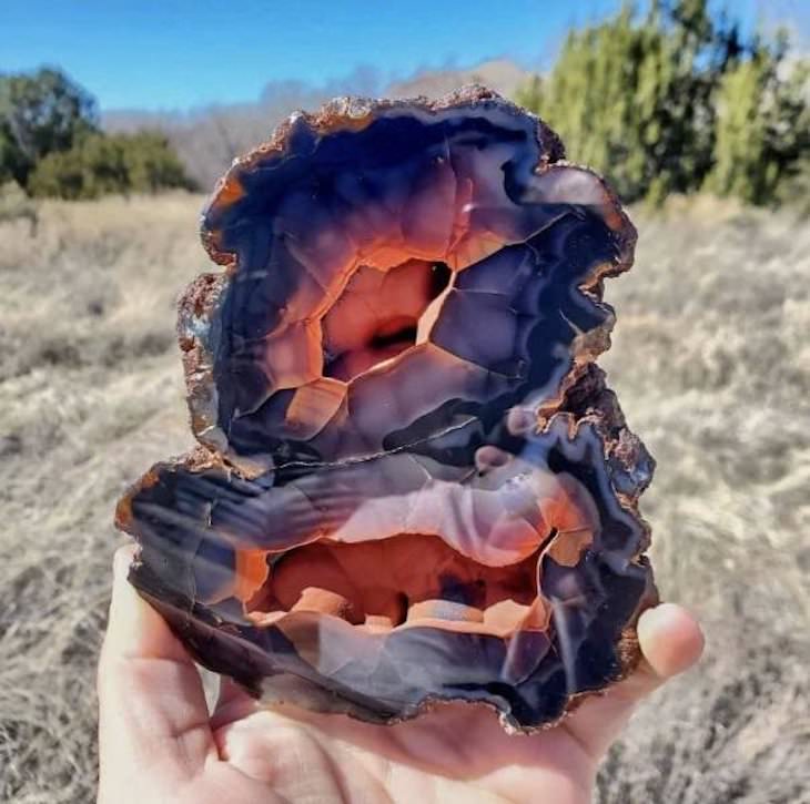 Planet Earth’s Lovely Curiosities Patagonian Crater agate