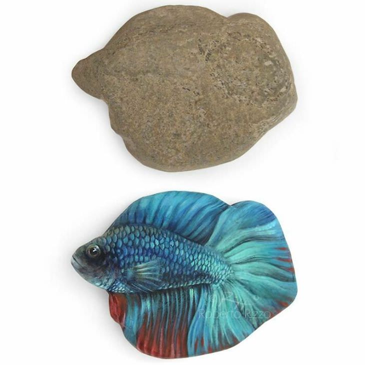 Roberto Rizzo Turns Rocks Into Amazing Animals Art fish