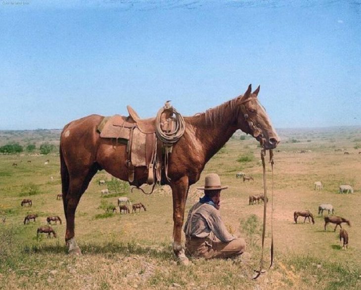 Colorized Historic Pics, horse wrangler 