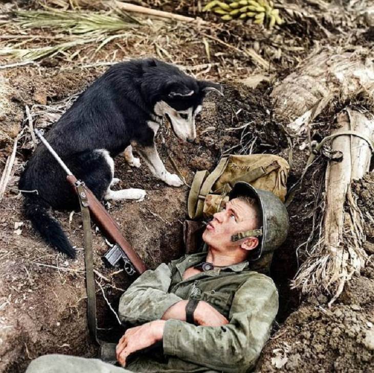 Colorized Historic Pics, scouting dog , soldier