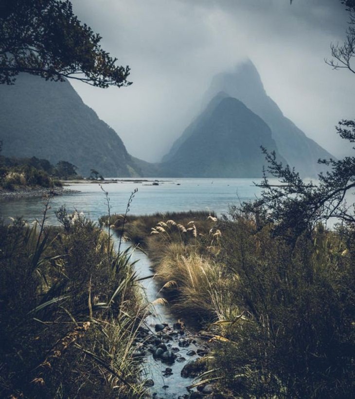 Nature’s Quiet Beauty, Milford Sound, New Zealand.