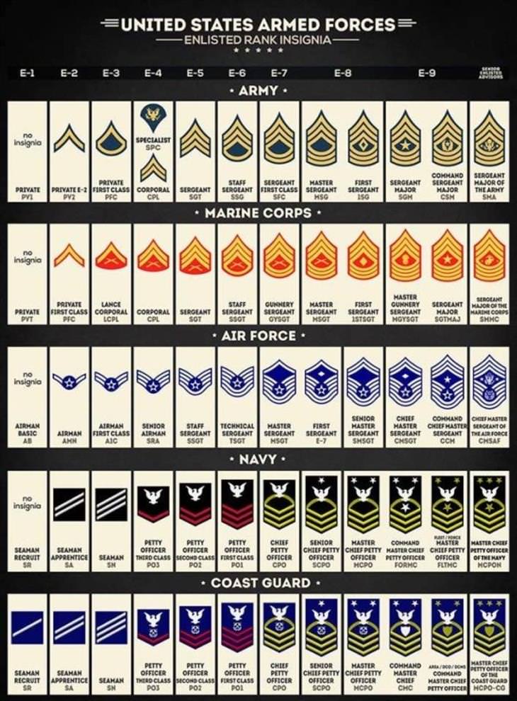 Interesting Charts US armed forces insignia