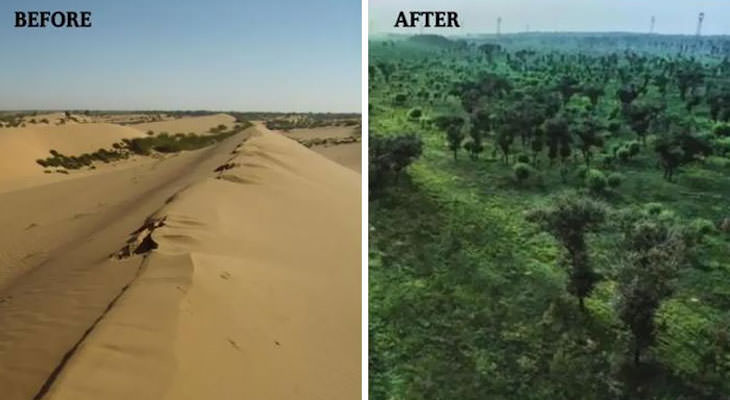 20 Eye Opening Comparison Photos, 93% of the Mu-Us Desert in In Northwest China has been turned into an oasis 