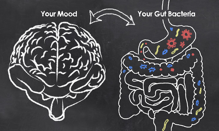 How Probiotics Help Treat Depression and Anxiety, illustration of brain and gut