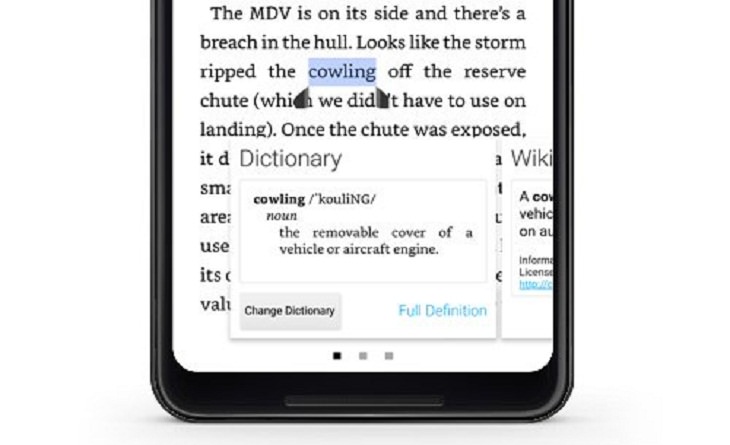 Kindle Tips and Tricks, Dictionary