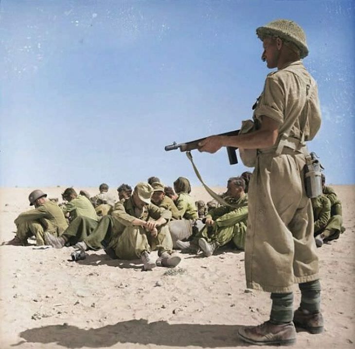 Rare and Beautifully Colorized Historical Photo A soldier from the New Zealand Division overlooking a group of German POW's during the Second Battle of El Alamein, November 1942