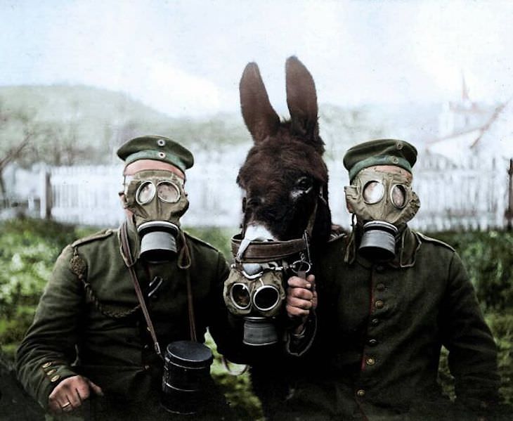 Rare and Beautifully Colorized Historical Photo Two soldiers wearing gas-masks during World War I