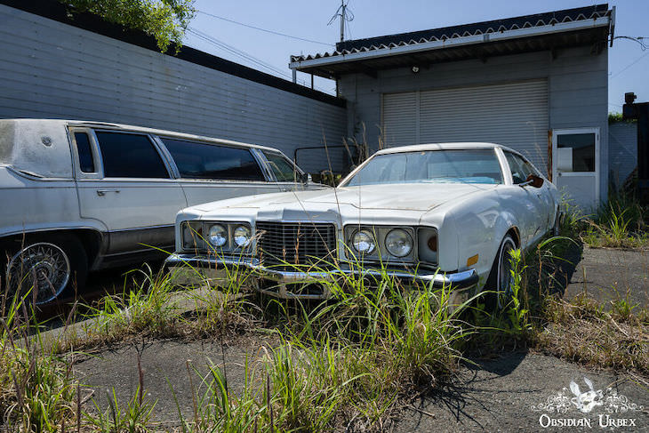 Fukushima Nuclear Disaster’s Aftermath - 10 Photos Thw tarmac is cracked and weeds grow everywhere at this abandoned car dealership