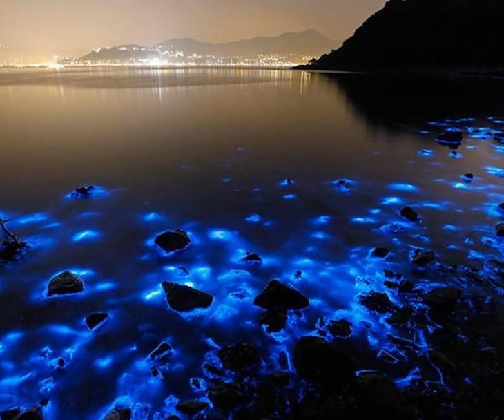 7 Lesser Known Natural Wonders Around the World, luminous lagoon