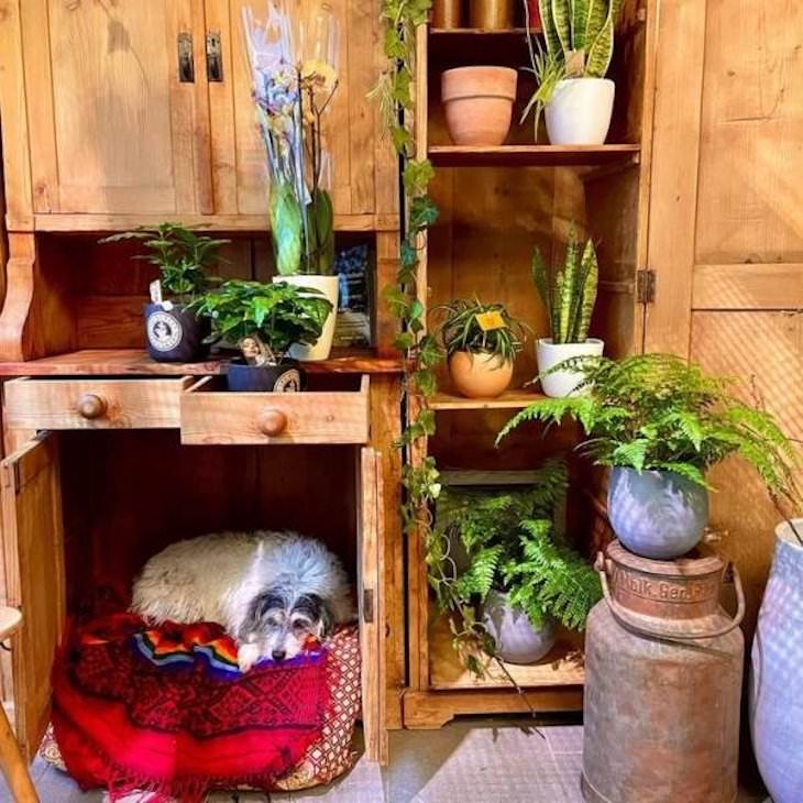 14 Super Cool and Resourceful Storage Solutions sleeping spot for dog