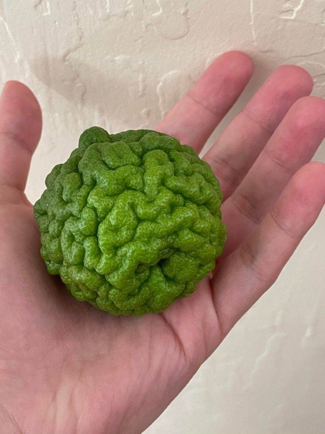 Confusing items kaffir lime