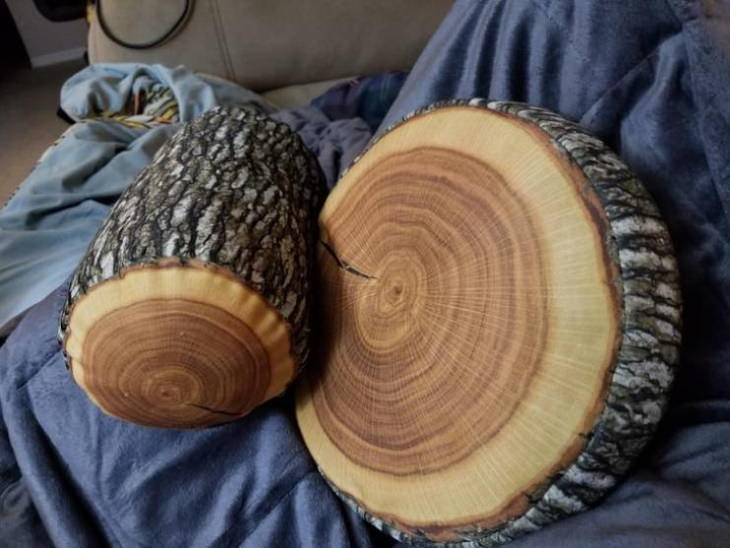 Confusing items pillows that look like a log or a tree cookie