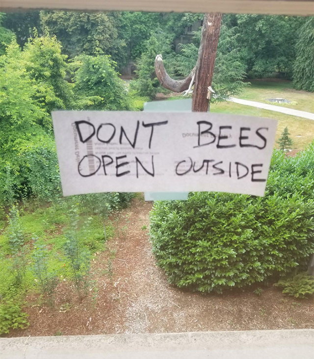 Funny Signs bees