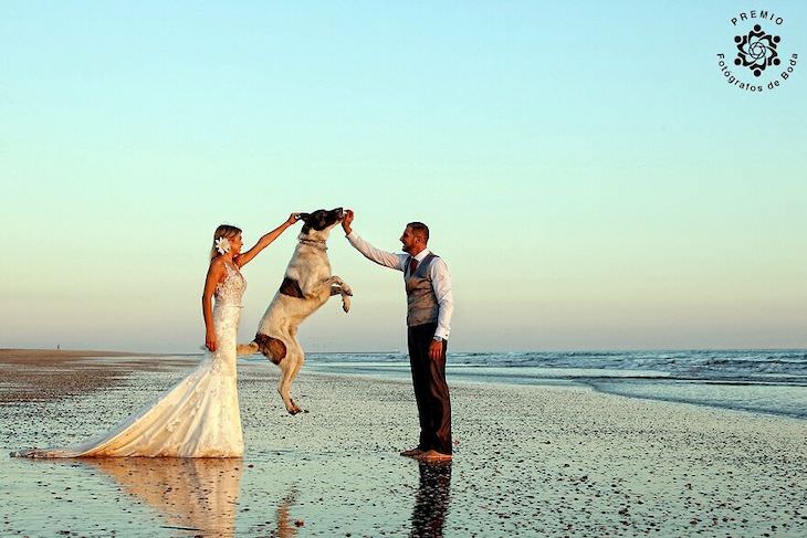 The FdB Awards' Top Wedding Photos of the Year dog on beach