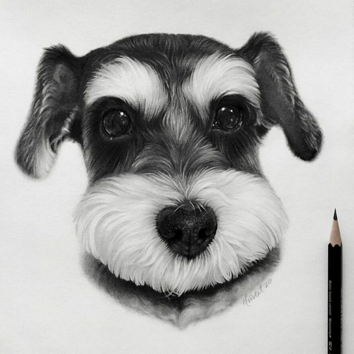 Hyper-Realistic Animal Sketches, cute dog