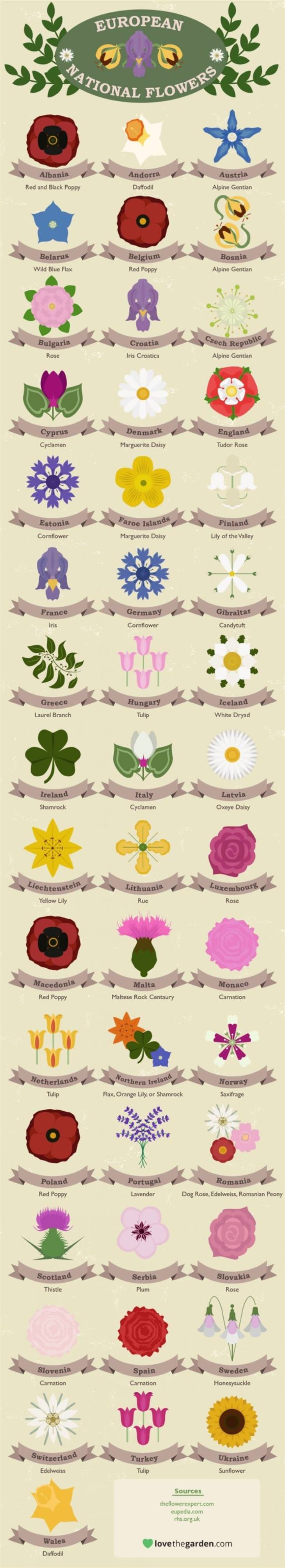 Cool Charts national flowers