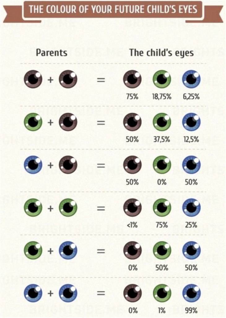 Cool Charts eyes