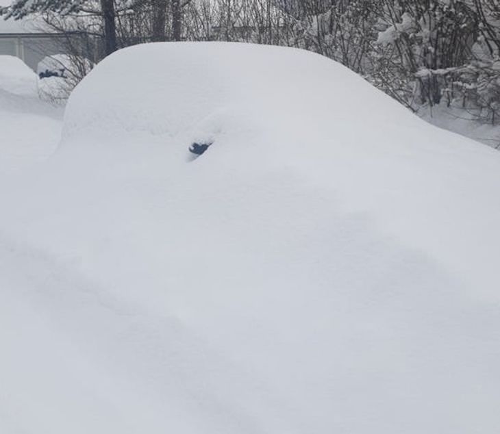 Funny and Relatable Photos of Bad Days car under snow